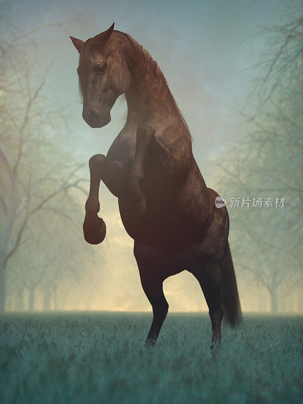 Wild horse in the winter forest at sunset